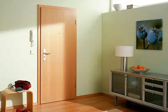 Innentür mit schlichter Kassettenfüllung