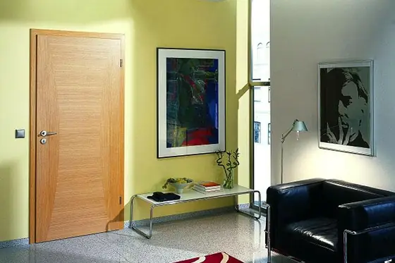 Designtür mit flächengleicher Zarge