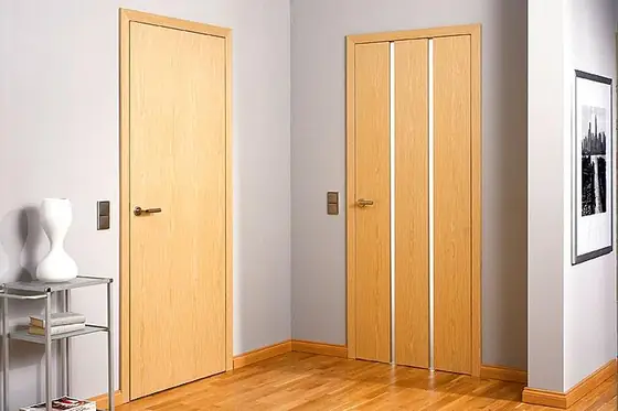 Doppelflügelige Designtür zwischen Wohnräumen